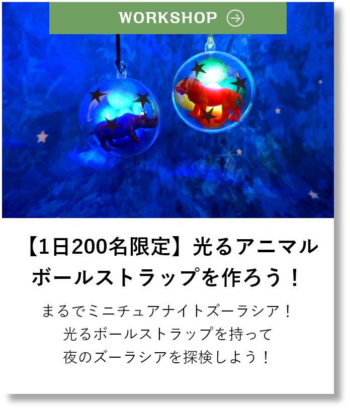 【1日200名限定】光るアニマルボールストラップを作ろう！まるでミニチュアナイトズーラシア！光るボールストラップを持って夜のズーラシアを探検しよう！