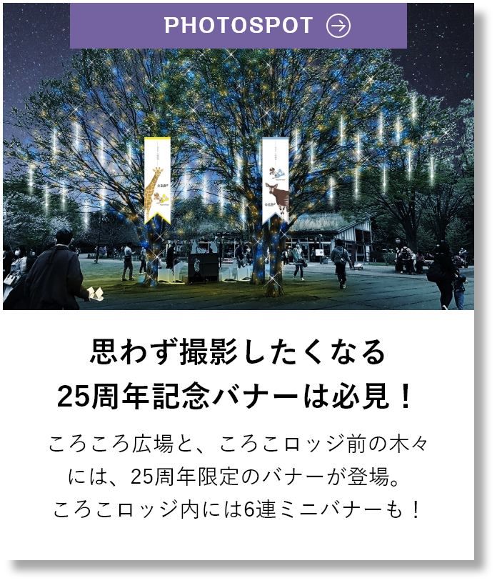 思わず撮影したくなる25周年記念バナーは必見！ころころ広場と、ころこロッジ前の木々には、25周年限定のバナーが登場。ころこロッジ内には6連ミニバナーも！