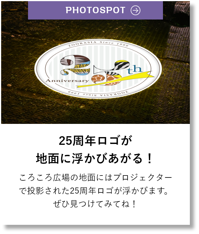 25周年ロゴが地面に浮かびあがる！ころころ広場の地面にはプロジェクターで投射された25周年ロゴが浮かびます。ぜひ見つけてみてね！